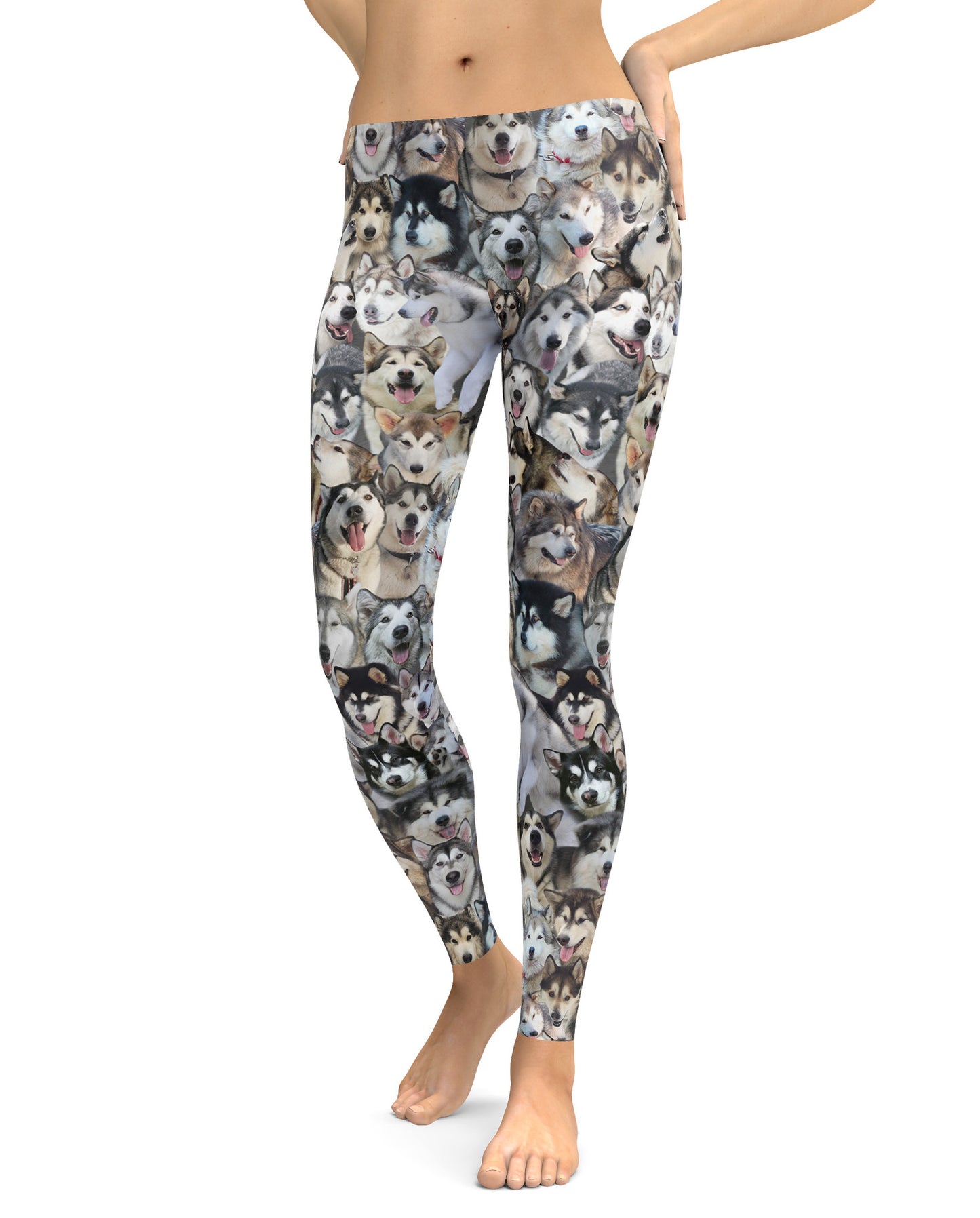Alaskan Malamute Dog Photo Pattern on Leggings, Yoga - Malamutes