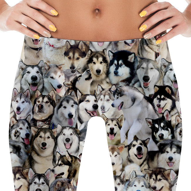 Alaskan Malamute Dog Photo Pattern on Leggings, Yoga - Malamutes