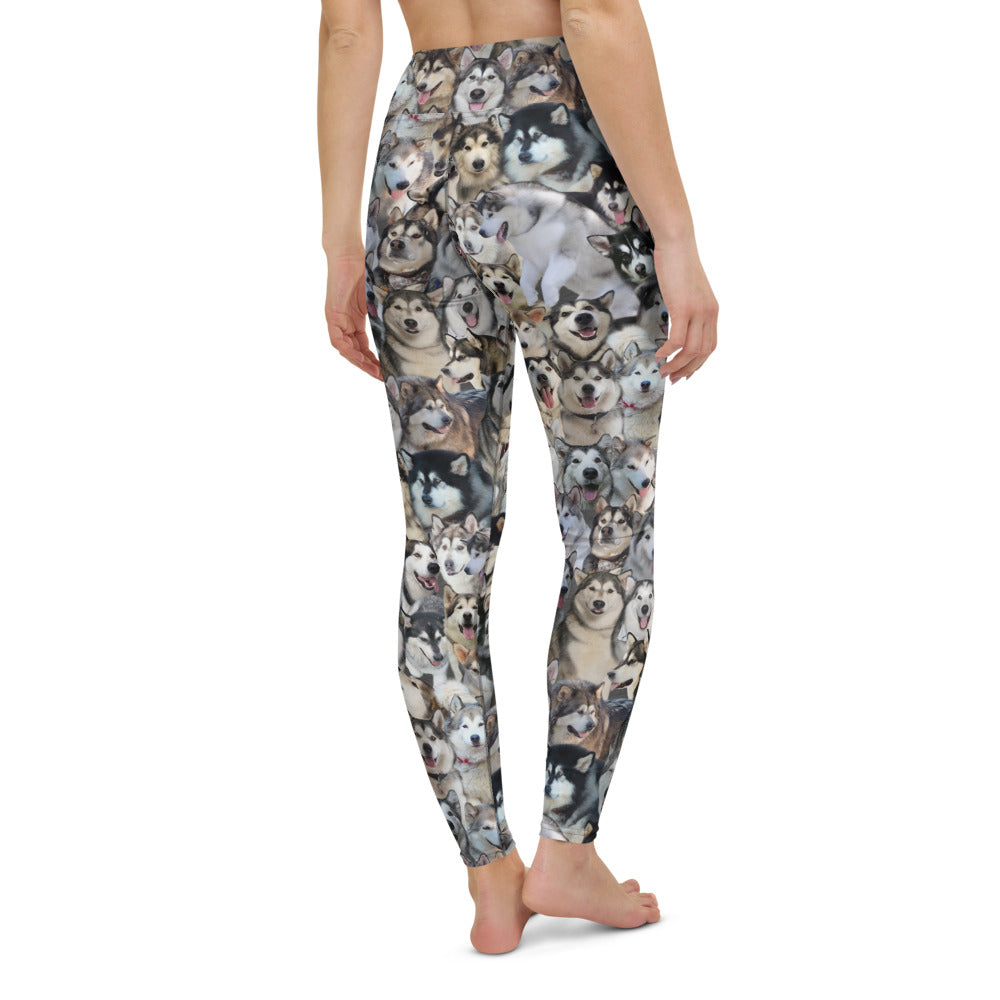Alaskan Malamute Dog Photo Pattern on Leggings, Yoga - Malamutes