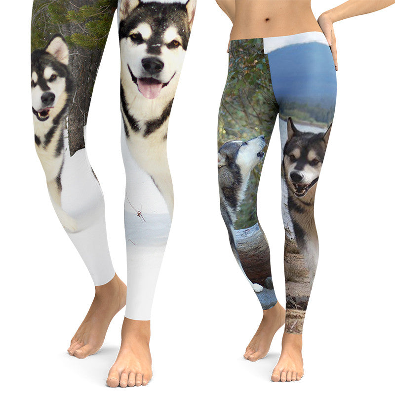 Custom Photo Leggings - Your Photos - Dogs on Leggings – Made in
