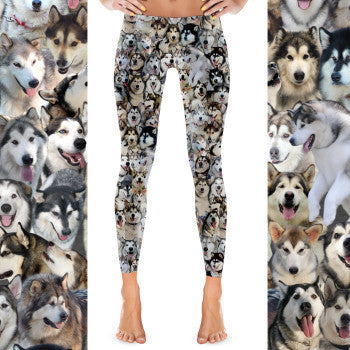 Alaskan Malamute Dog Photo Pattern on Leggings, Yoga - Malamutes