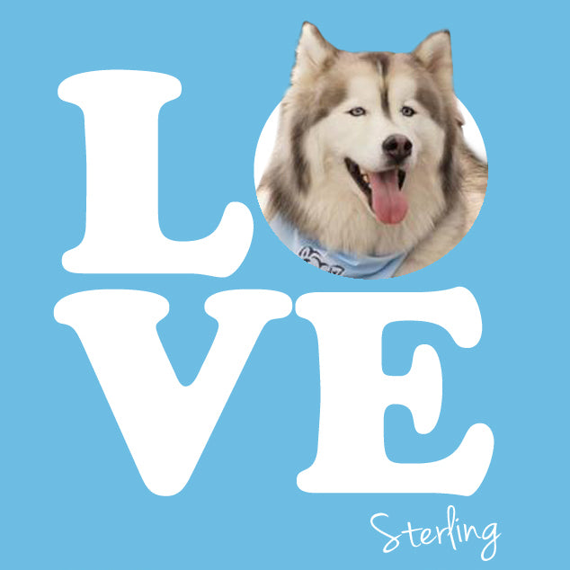 CUSTOM LOVE T-SHIRTS - Add a photo of your dog to your shirt!