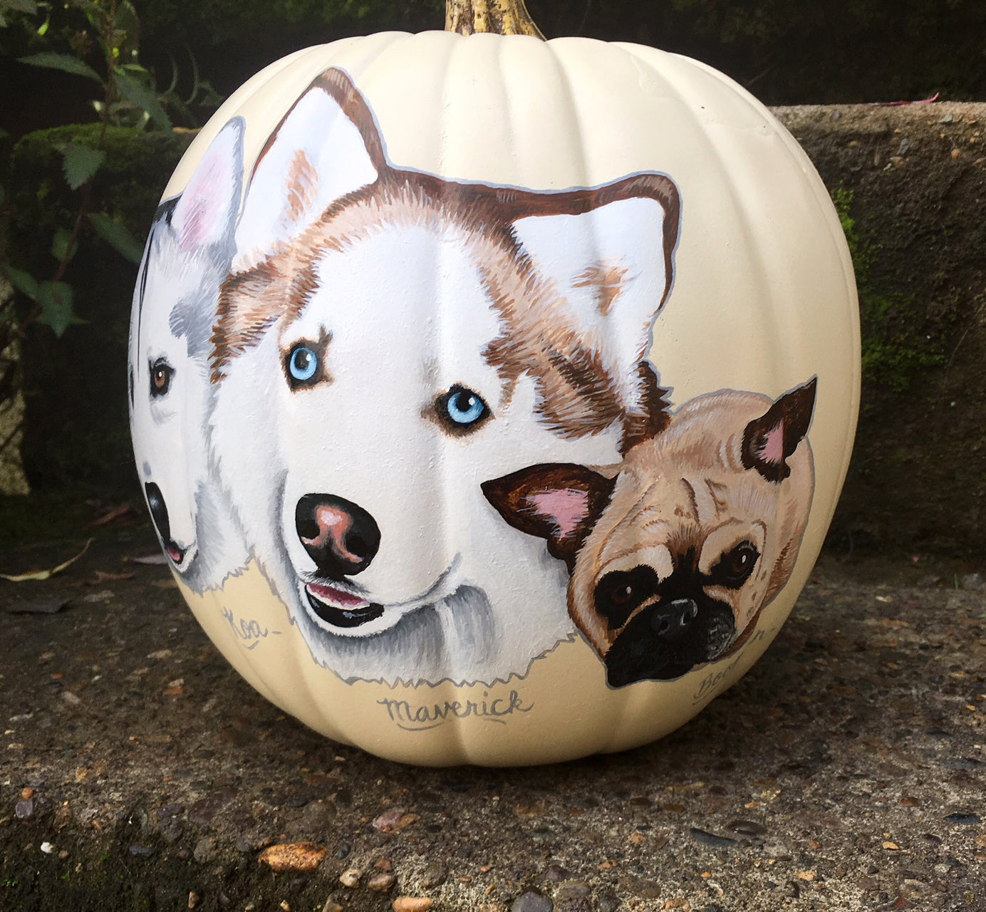 Hand-Painted Pumpkins with Your Dog!