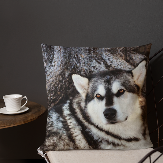 CUSTOM PHOTO ORDERS - All Dogs, Art, Shirts, Pillows, Totes or Mugs