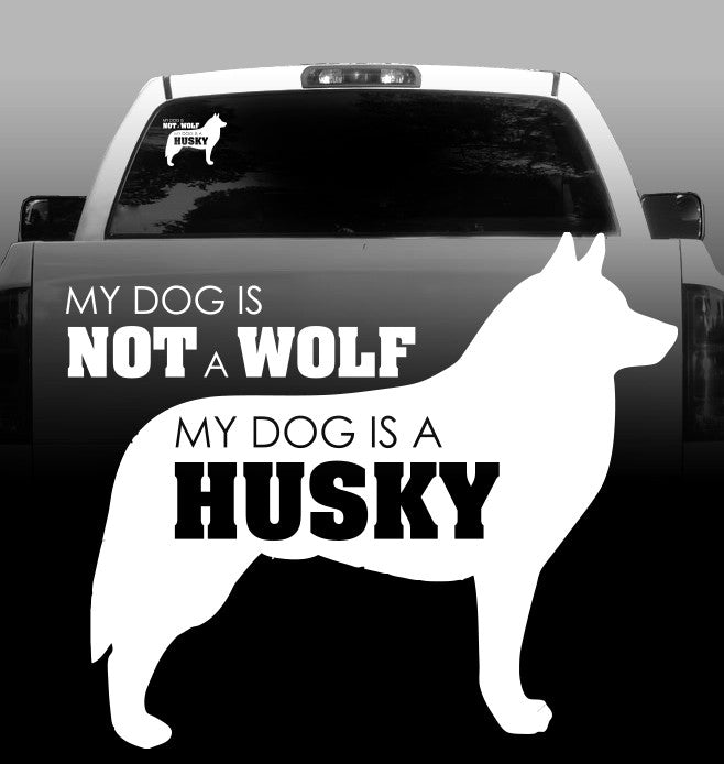 Not a Wolf Vinyl Decal - Siberian Husky - Car, Truck, Window