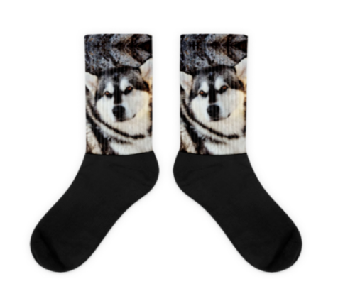 Custom Sublimation Socks with Your Dogs Photo