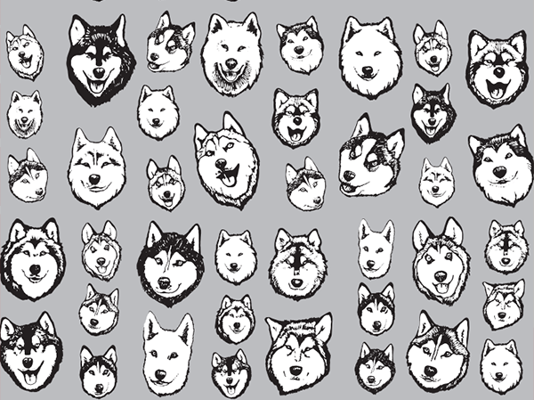 Siberian Husky & Alaskan Malamute Dog Art Illustration Pattern on Leggings - Huskies – Made in America